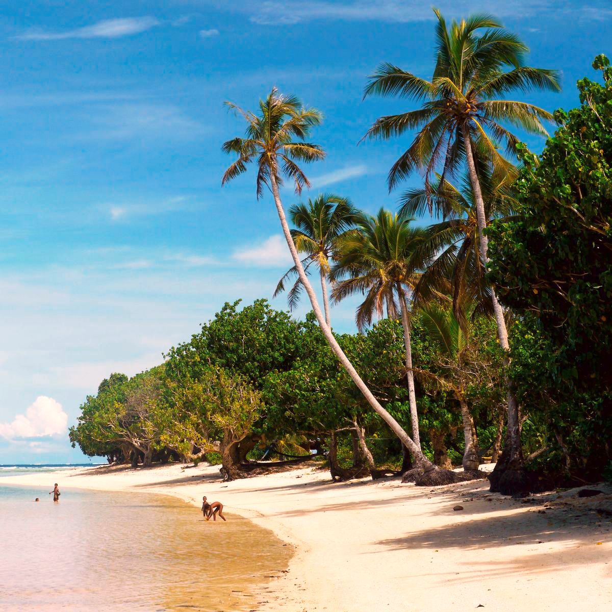 South pacific. Тихоокеанские острова. Остров Ваникоро. Остров Юг. Островы Тихоокеанский.